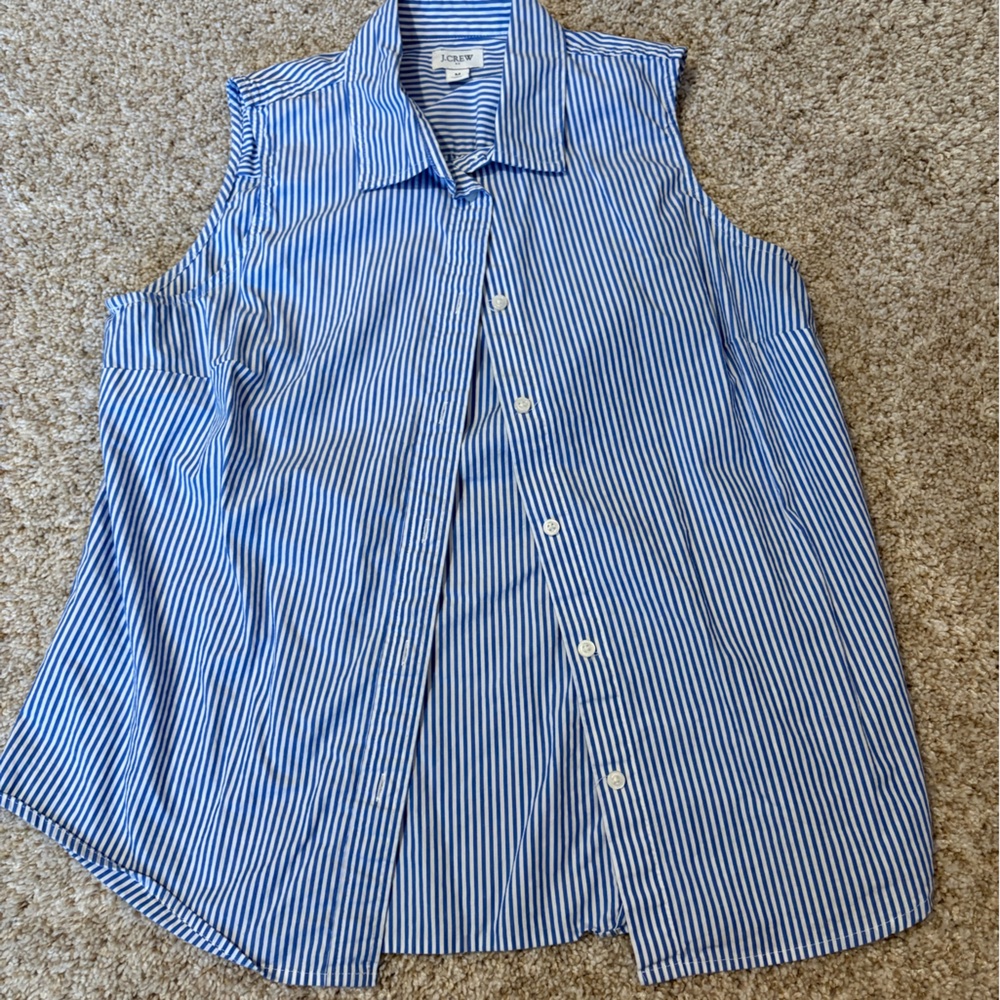 J.Crew Blue and White Striped Collared Shirt